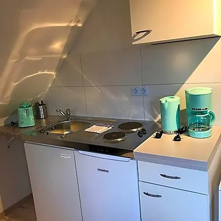 Kleine Moewe